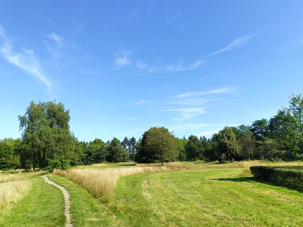 sinusbeheer op terrein begraafplaats 