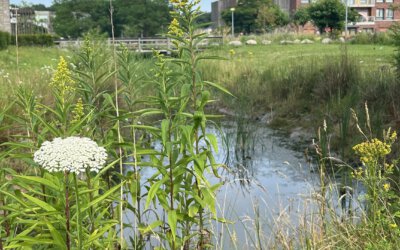 3 strategieën voor ’n groenere gemeente