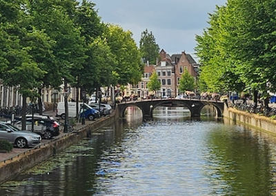 Bomen voor het leven; cruciale rol van bomen in de stad