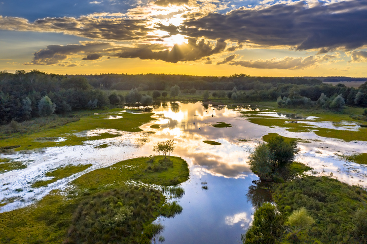 De Geeserstroom in Drenthe. Een gebied dat in 2006 werd heringericht, zodat het water meer ruimte kreeg. Recent is een nieuw plan gepresenteerd, omdat de vernatting van he tgebied zorgde voor veel klachten. 