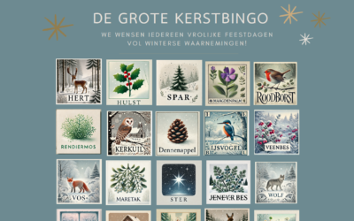 Speur mee met de grote kerstbingo